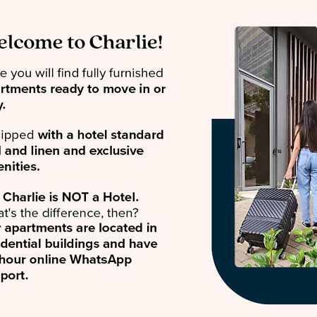Charlie Dstay Moema São Paulo Eksteriør bilde